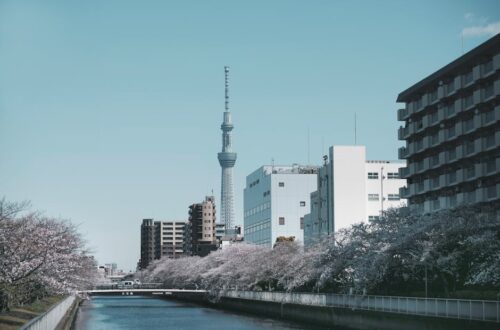 River Near a City