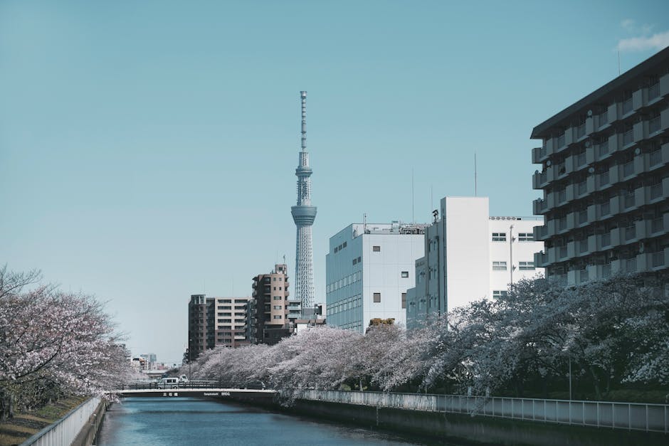 River Near a City